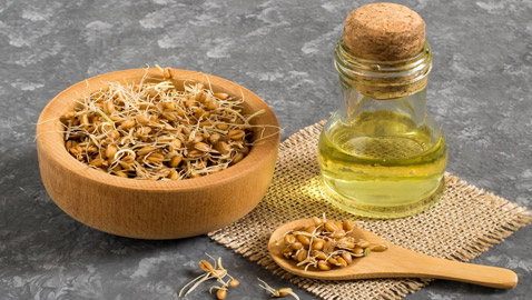 يعالج الالتهابات والكوليسترول.. 10 فوائد لزيت جنين القمح للصحة والجمال