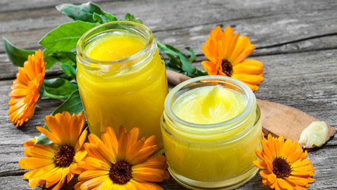 فوائد عشبة الأذريون للبشرة والشعر.. تعرفي إليها