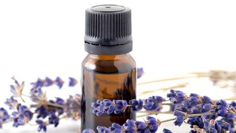 كيف يمكن الاستفادة من زيت اللافندر في روتين جمالك؟