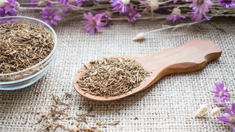 تهدئ الأعصاب وتعزز النوم.. إليكم فوائد عشبة الناردين 