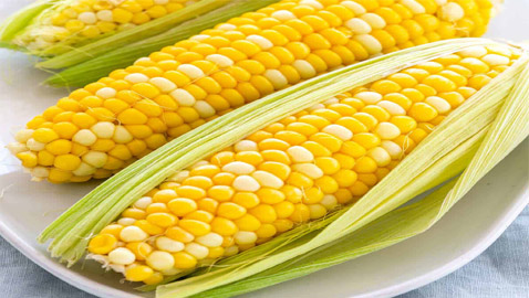 نشأت منذ 9000 عام.. فوائد الذرة الصفراء وما تحتويه من سعرات حرارية