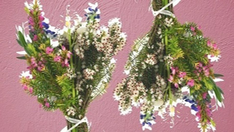 كيف تعتني بالأزهار البرية بعد قطفها؟