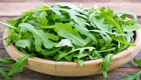 5 فوائد صحية تضع الجرجير على رأس قائمة الأطعمة الذهبية