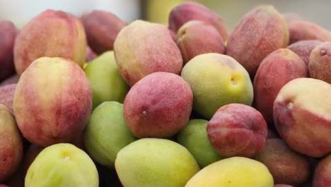 اليكم فوائد اللوز البجيلي...