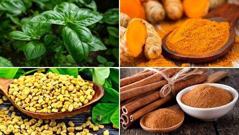 4 أعشاب وتوابل لضبط مستويات السكر في الدم بينها القرفة والريحان