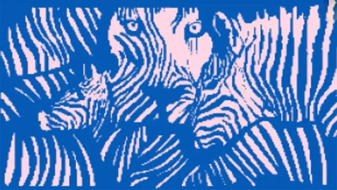 جوابك يكشف هل أنت اجتماعي أم انتقائي.. ماذا ترى أولا؟