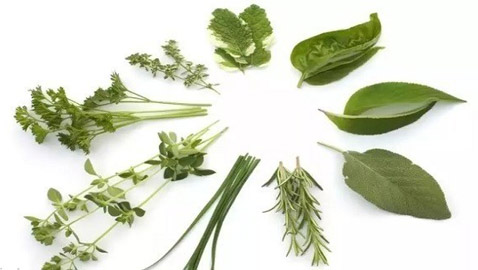أفضل نباتات ورقية تسرع تخفيض الوزن