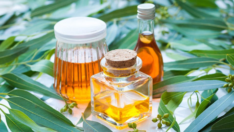 يعالج الآلام والصداع ومشاكل اللثة.. 8 استخدامات صحية لزيت الكافور