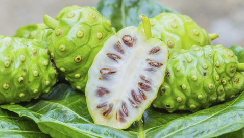 فوائد فاكهة النوني ستصدمكم..!