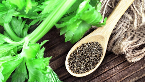 تقوي العظام وتحارب السكري وفقر الدم.. فوائد بذور الكرفس وطرق استخدامها