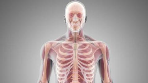 أكثر 10 خرافات منتشرة عن جسم الإنسان.. لا تصدّقها!