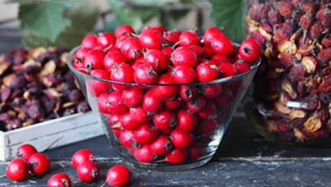 يُستخدم بالعلاج وتعزيز الصحة.. إليكم 6 فوائد مذهلة مختلفة لنبات الزعرور