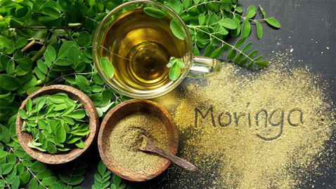 صرعة الأغذية الخارقة.. 10 فوائد تدهشك تجعلك تدمن نبتة المورينغا