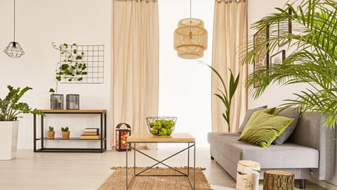 لا تحرمي منزلك النباتات الخضراء.. استفيدي من تأثيرها الإيجابي