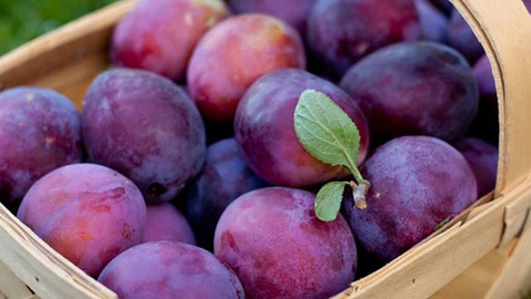 فوائد الخوخ لا يُستهان بها.. ماذا تقدم لأجسامنا؟