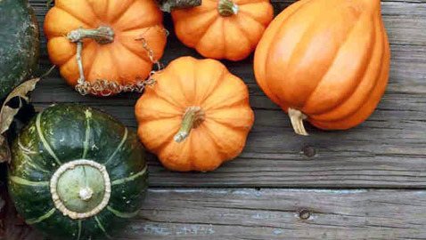 اليقطين.. كنز من المعادن والفيتامينات