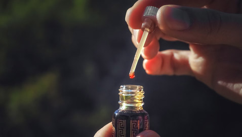 العود.. هذه أفضل الأنواع وأكثرها شهرةً