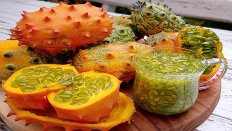 مقاوِمة للعطش وتقي من السرطان.. فوائد فاكهة الكيوانو الغذائية والصحية