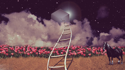 المكعب لتحليل الشخصية.. جربوا هذا الاختبار الياباني