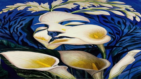 حدق جيدا في الصورة.. ماذا رأيت أولا 