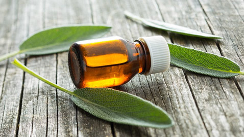 ما هي فوائد الميرمية؟ وما أبرز الطرق لتحصيلها؟