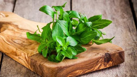 فوائد الحبق للجسم.. وأهم المخاطر المحتملة