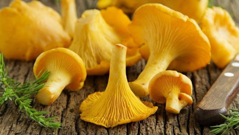 من المعكرونة إلى الفطائر.. 5 طرق لاستخدام فطر 