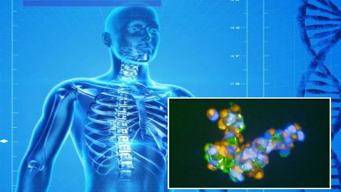 تعيد نمو الأعصاب.. 