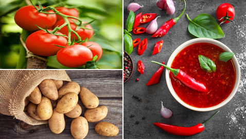 من بينها الطماطم والصلصات.. 5 أطعمة لا ينصح بوضعها في الثلاجة