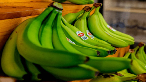 بينها واحدة بالميكروويف.. أسرع 4 طرق لإنضاج الموز الأخضر