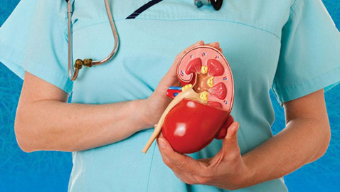 خطوات ضرورية وأخرى ممنوعة.. نصائح مهمة لمرضى الكلى