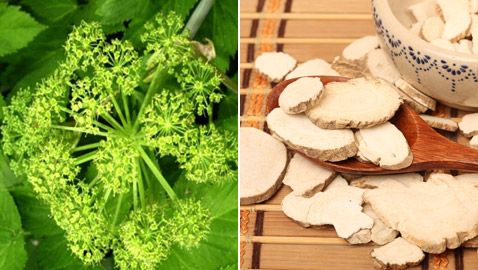 يعالج التهاب المفاصل.. 5 فوائد لنبات 