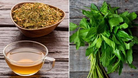 يعزز المناعة والحفاظ على الوزن الصحي.. فوائد نبات إيبازوت واستخداماته