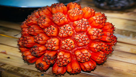 تخفف صداع الرأس.. 5 فوائد علمية مدهشة لفاكهة هالا الاستوائية