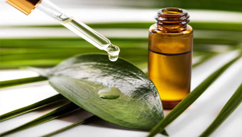 استخدامات زيت شجرة الشاي في تنظيف المنزل وطرد الحشرات