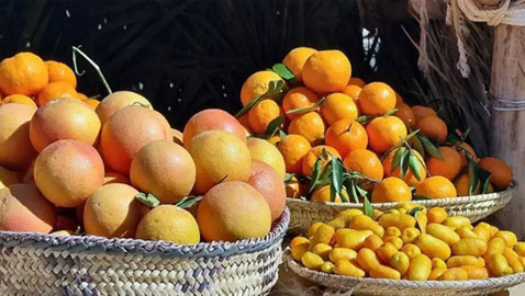 تناول الحمضيات بعد الطعام مباشرة قد يكون مضراً.. تعرَّف على الأسباب