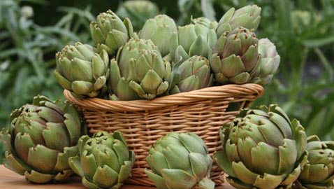 فوائد مدهشة لا تعرفها عن الخرشوف