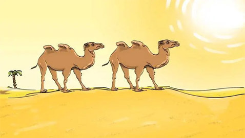 اختبر قوة ملاحظتك: ماذا ينقص هذه الصورة؟ حاول الإجابة في 6 ثوان